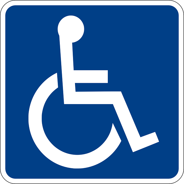 Mappatura delle persone affette da gravi patologie e disabilita' motorie per piano comunale di protezione civile